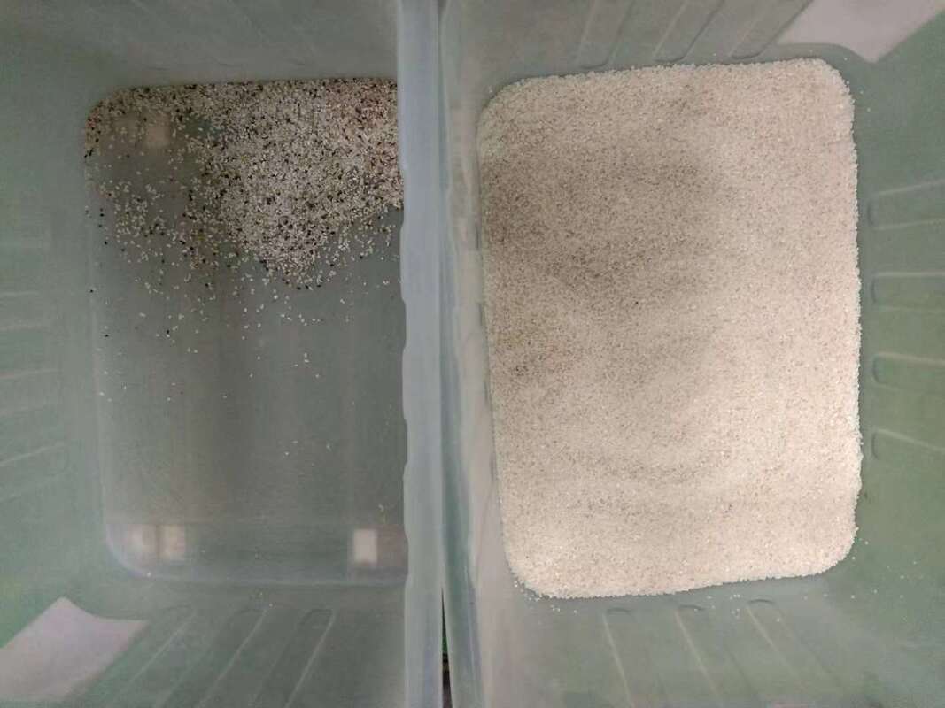 WENYAO Advanced Rice Processing Color Sorter Machine Engine ISO9001/CE Certified 10 Chutes Low Noise 10000kg/h Capacity