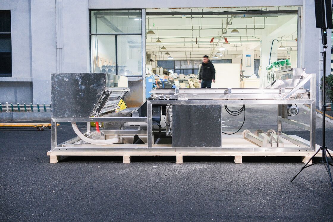 Wenyao Jeneverbes Kleursorteerder Brede Riem Roestvrij Staal Bosbes Aardbei Framboos Kleursorteermachine Fabrieksprijs met CE-certificaat Afstandsbediening