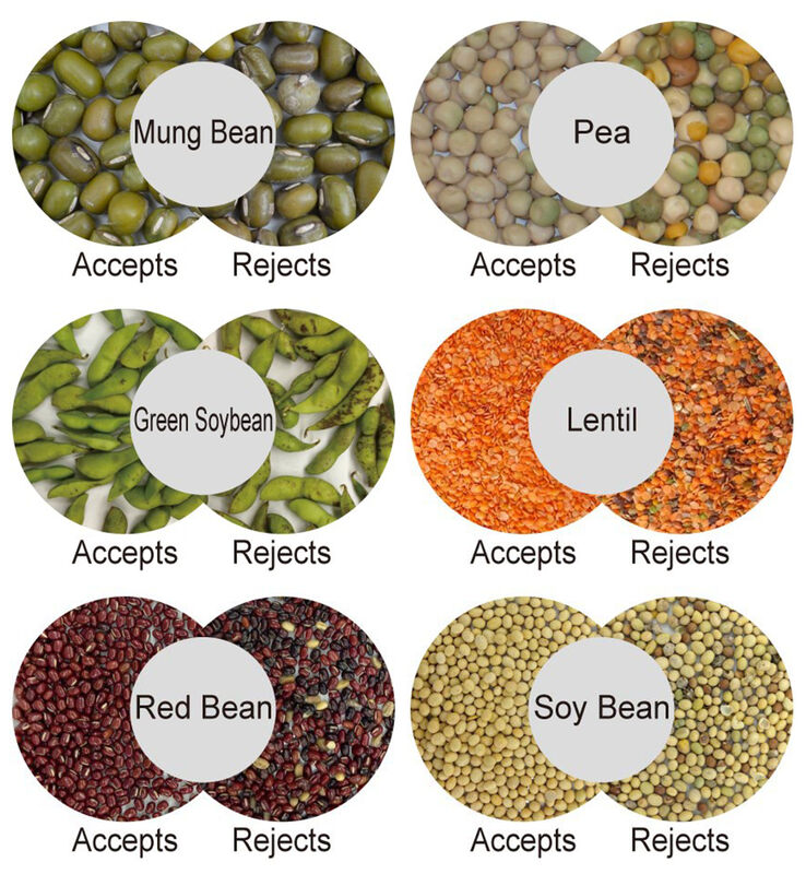 WENYAO Verstelbare parameters 64 kanalen Hoog efficiënt werkend notenkleur sorteerapparaat voor dennennoot