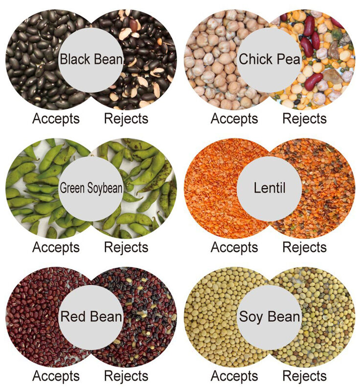 WENYAO CCD Camera AI Noot Kleursorteerder met Volledige Kleurdetectie, Stabiele Werking en ≥99,99% Nauwkeurigheid voor Walnoten