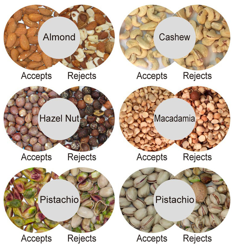 WENYAO High Precision 2 Channel Nut Color Sorter Remove Moldy Rotten Shell Impurity for All Kinds Nuts Processing