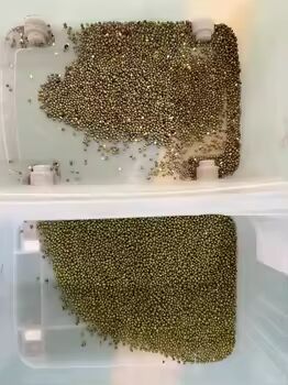 Hoge Nauwkeurigheid Graankleur Sorteerder met 3-8TPH Output en ≥99,99% Sorteernauwkeurigheid voor Rijst Boekweit Quinoa Tarwe Gierst