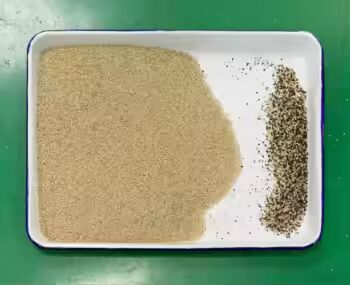 Hoge Nauwkeurigheid Graankleur Sorteerder met 3-8TPH Output en ≥99,99% Sorteernauwkeurigheid voor Rijst Boekweit Quinoa Tarwe Gierst
