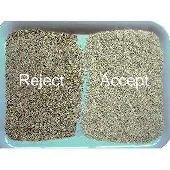 Hoge Nauwkeurigheid Graankleur Sorteerder met 3-8TPH Output en ≥99,99% Sorteernauwkeurigheid voor Rijst Boekweit Quinoa Tarwe Gierst