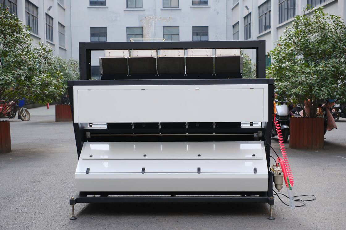 Wenyao 5 Chute Intelligente Optische Sorteermachine Automatische Walnoot Kleursorteerder Machine voor Pijnboompitten Kern en Schil