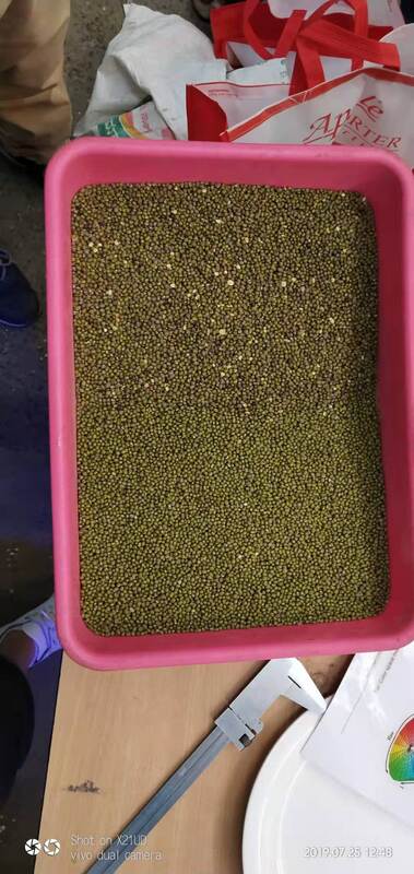 WENYAO Factory Price Intelligent Beans Color Sorting Machine for Food Processing