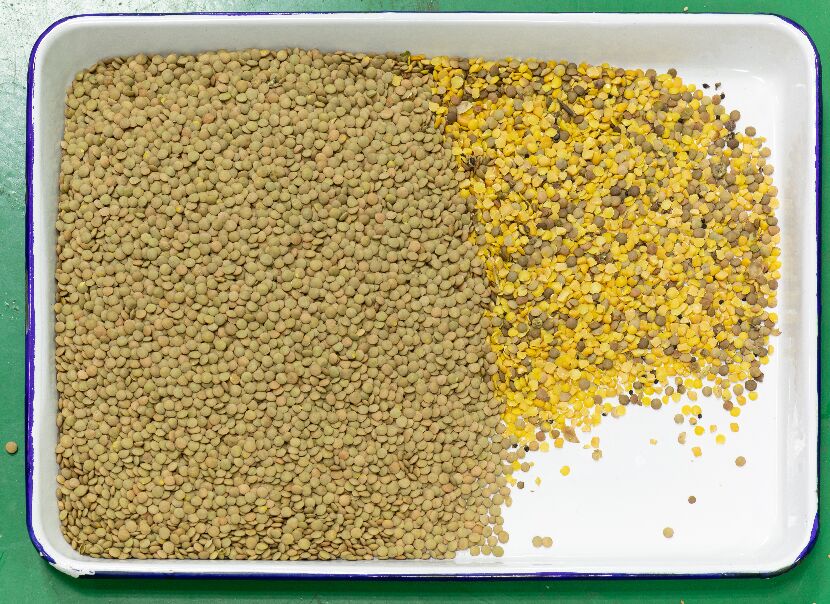 CE gecertificeerde automatische graan optische kleur sorteermachine zwarte bonen koffiebonen linzen kleur sorteermachine te koop 2026