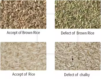 Bestselling Color Sorter For  Rice Wheat Separating Machinie Corn Kernels Grain Shape Separator