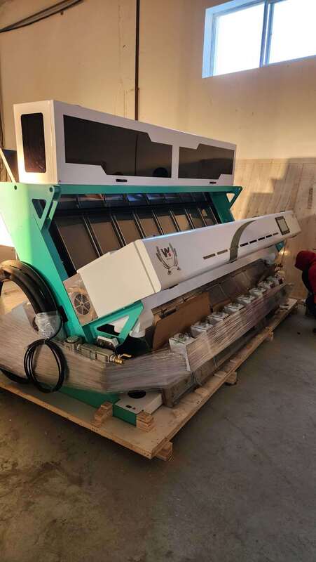 High Output Grain Coffee Beans Sunflower Seeds Color Sorter Machine with 99.95% Sorting Accuracy and 8 Chutes 512 Channels Featuring Japan Toshiba CCD Sensor