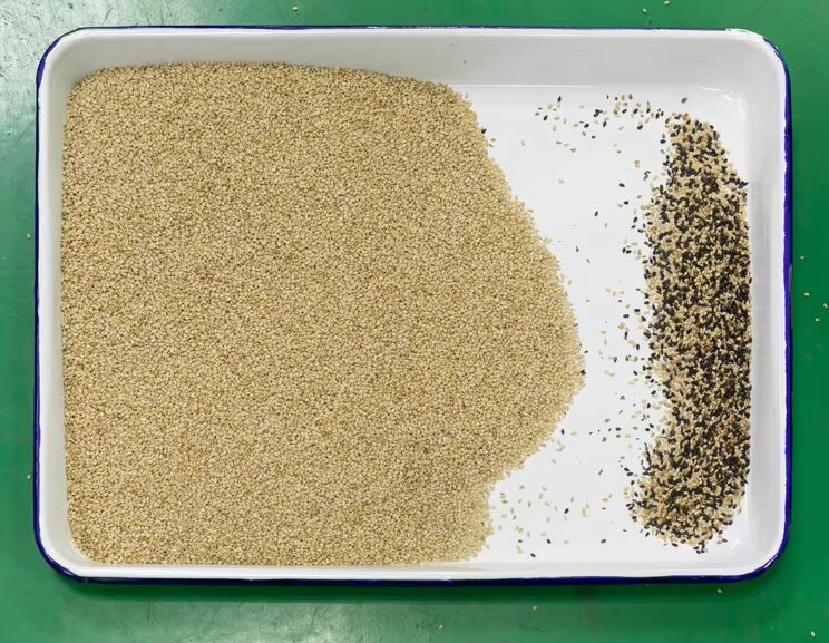 Wenyao 10 Chute 640 kanalen Grote capaciteit Linzen Mung Bean Kleur sorteermachine Optische sorteermachine voor het sorteren van noten