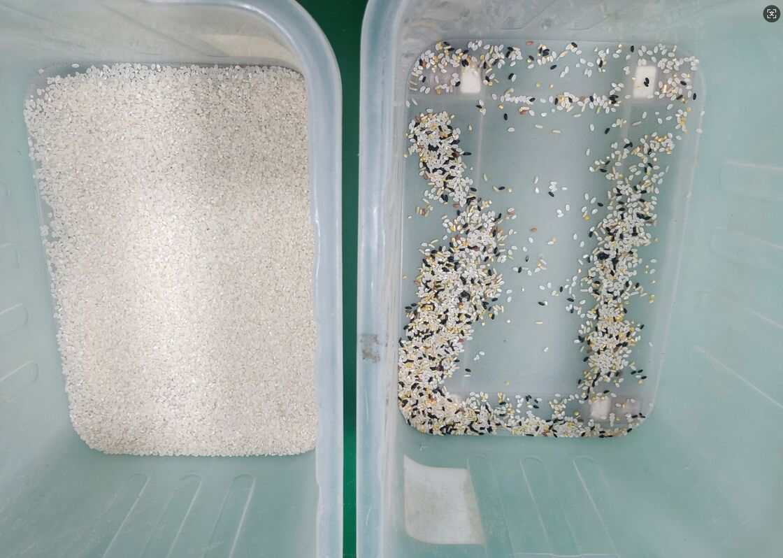 China Automatische hoogtechnologische rijst optische kleur sorter Sesam maïs verwerking kleur sorteren machine