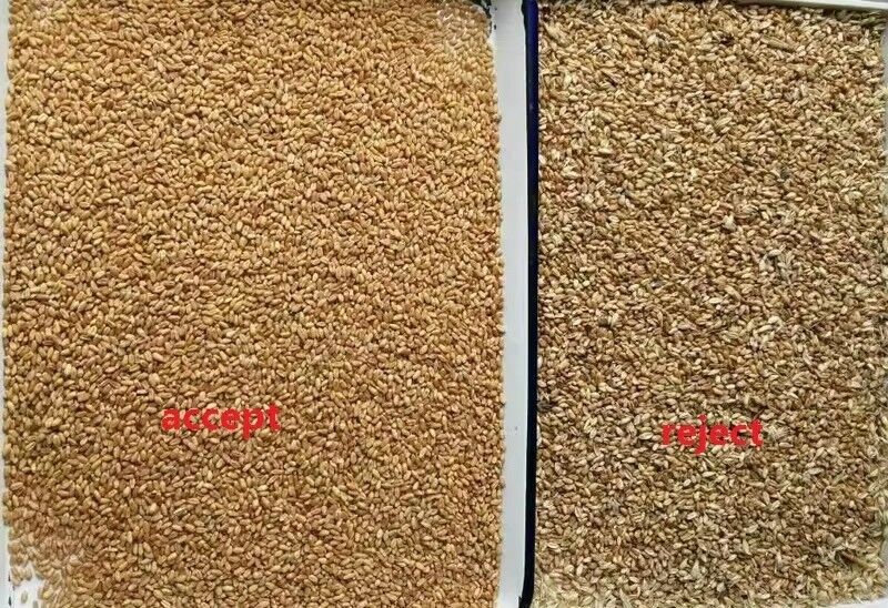 China Automatische hoogtechnologische rijst optische kleur sorter Sesam maïs verwerking kleur sorteren machine