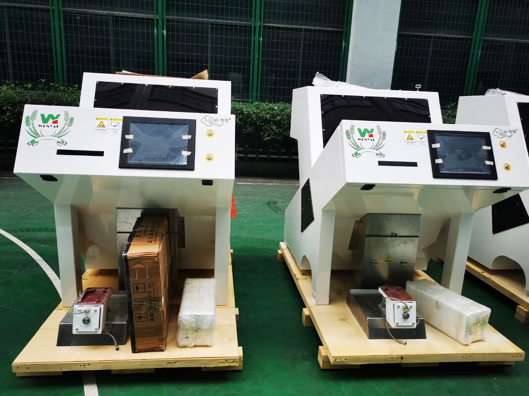 Wenyao Kleur Sorter voor pompoen Cashew Peanut Amandel Shaped Sorter Optische sorteringsmachine voor noten Zaden China Reinigingsapparatuur