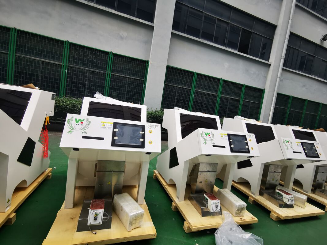 Wenyao Kleur Sorter voor pompoen Cashew Peanut Amandel Shaped Sorter Optische sorteringsmachine voor noten Zaden China Reinigingsapparatuur