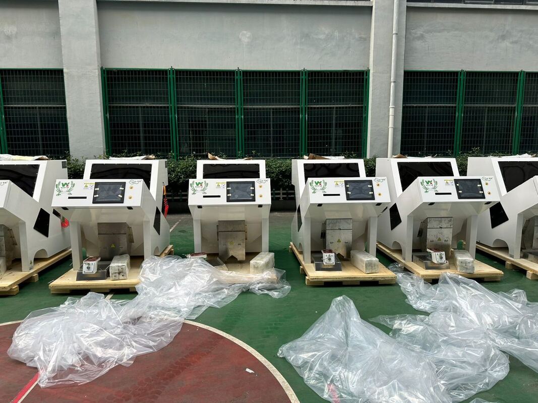 Wenyao Kleur Sorter voor pompoen Cashew Peanut Amandel Shaped Sorter Optische sorteringsmachine voor noten Zaden China Reinigingsapparatuur