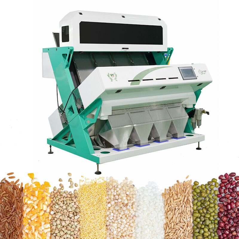 Intelligente bokweed kleur sorteermachine tarwe haver quinoa scheiding machine 3 schachten 6 camera's