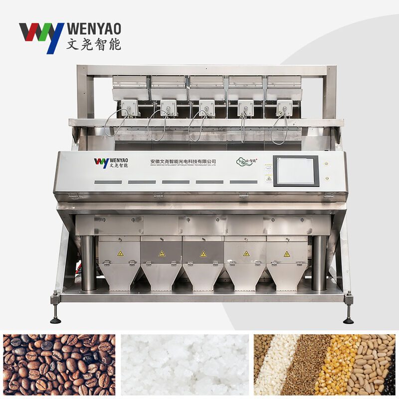 WENYAO Full 304/316 roestvrij staal Intelligente kleur sorteren machine Zout kleur sorteren Verwijderen van onzuiverheden