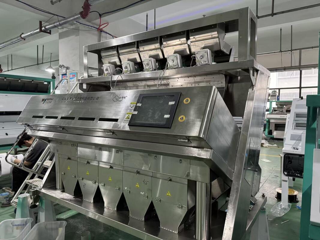 WENYAO Full 304/316 roestvrij staal Intelligente kleur sorteren machine Zout kleur sorteren Verwijderen van onzuiverheden