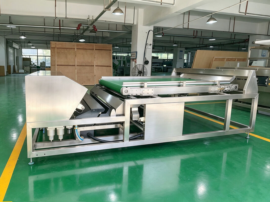 China Clam Sorting Machine Shell Color Sorter Dried Frozen Seafood Sorting  Machine