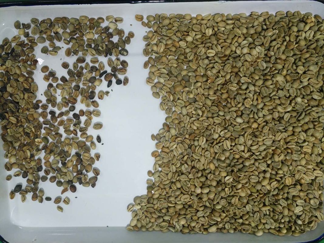 4 hellingen 256 de Machine van de de Kleurensorteerder van de Kanalenkoffie voor de Afstandsbediening van Bonenwifi