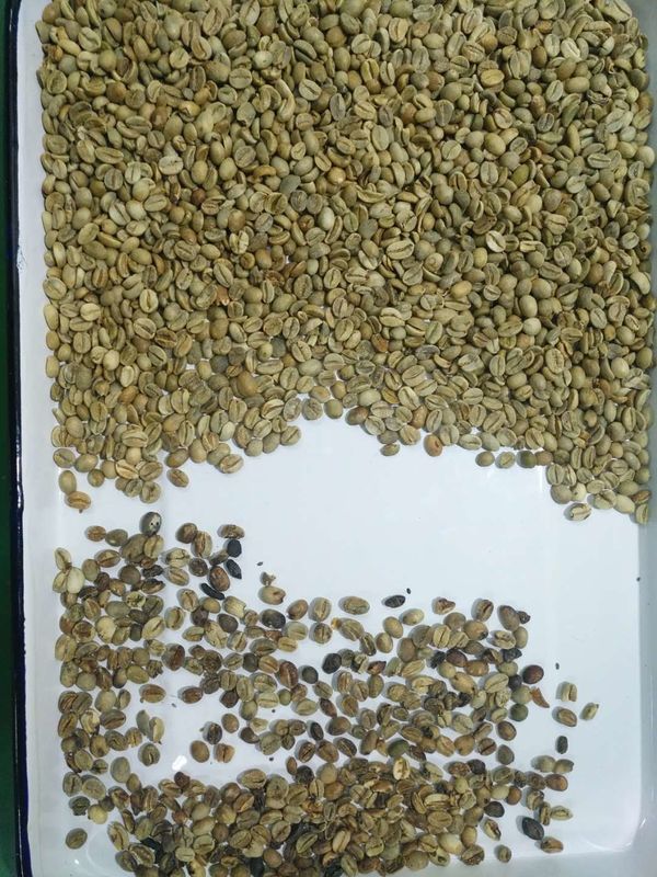 4 hellingen 256 de Machine van de de Kleurensorteerder van de Kanalenkoffie voor de Afstandsbediening van Bonenwifi