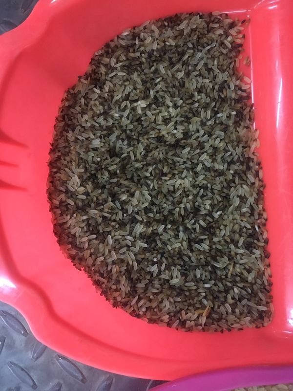 Sorteerder van de de Rijstkleur van CCD de Optische, de Kleurensorteermachine van de 4 Hellingentarwe