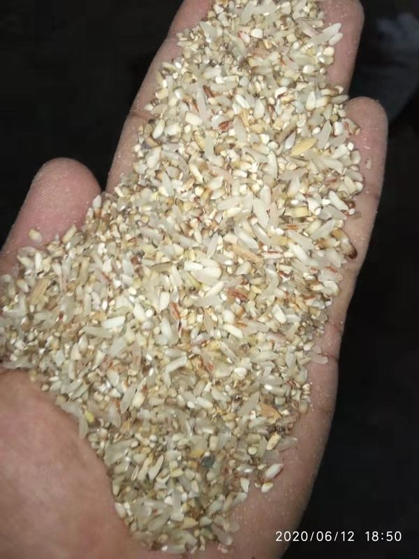 4000kg/H geblancheerd het Leven LEIDEN van Rijstmini color sorter machine long Licht