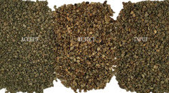 Wenyao 1 Chute 500kg/h Hoge uitvoer CCD kleurseparator geroosterde koffiebonen Kleur sorteren machine Groene bonen kleur sorteren