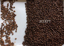 Precision Coffee Bean Color Sorter Met Japan Nikon Lens Geavanceerde Deep Learning Technologie
