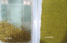 Sojabonen Kleur Sorter Pules Sorteren Selector Machine Groene bonen Zwarte Sohum Zaden Reinigingsapparatuur