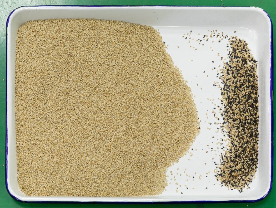 Intelligent CCD-de Peper van de Kleurensorteerder het Sorteren Machinehoog rendement