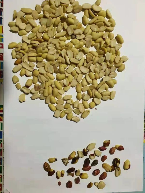 De spleet Gebleekte van de de Sorteerdersmachine van de Pindakleur Sorteermachine van de de Pinda'skleur