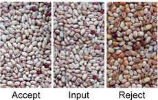 Sojabonen Kleur Sorter Pules Sorteren Selector Machine Groene bonen Zwarte Sohum Zaden Reinigingsapparatuur