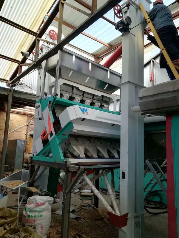 Sesamverwerkingslijn WYCS5-320 Witte Sesamzaad Kleur Soter Machine Voor Zwarte Sesam Verwijderen En Reinigen