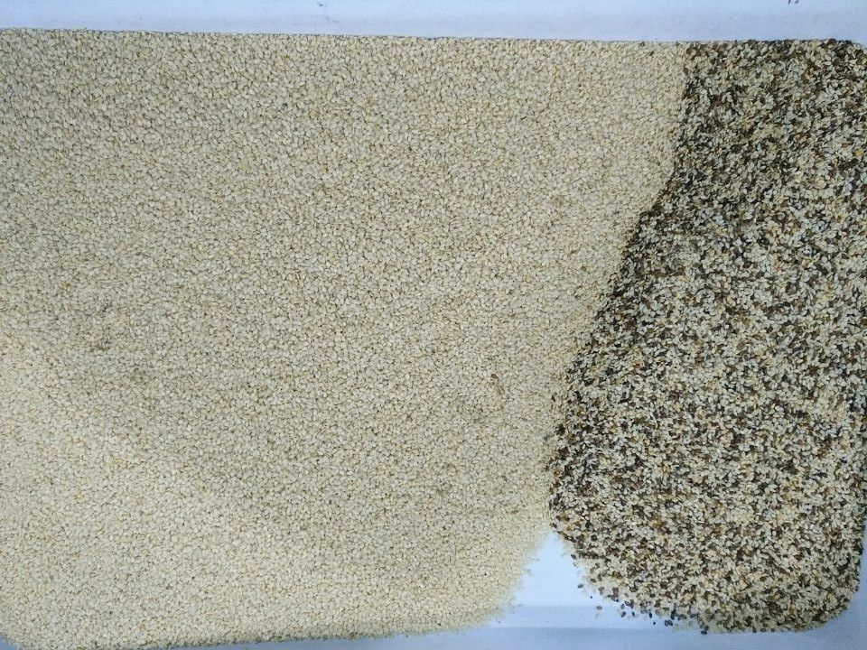 Van de Sorterende Machinelotus seed color sorter /Sunflower van de sesamzadenkleur de Sorteermachine van de de Zadenkleur