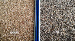 WENYAO Led Light Wheat Color Sorter Laag energieverbruik Graan Separator