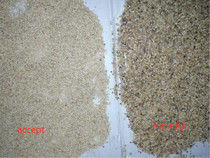 WENYAO Seed Color Sorter met 5400 pixels CCD en 99% nauwkeurigheid