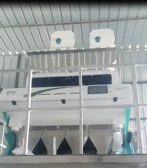 WENYAO Peeled Peanuts Nuts Rice-de Machine van de Kleurensorteerder met CCD-leiden automatisch