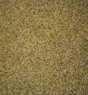 Van de de Kleurensorteerder van het korianderzaad van het de Korianderzaad van de de Kleurensorteermachine de Separator van de Korianderzaden