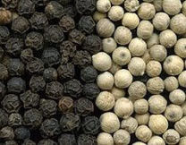Van de de Kleurensorteerder van het peperzaad CCD het Zaad die van de de Machinepeper het Zaadsorteermachine scheiden van de Machinepeper
