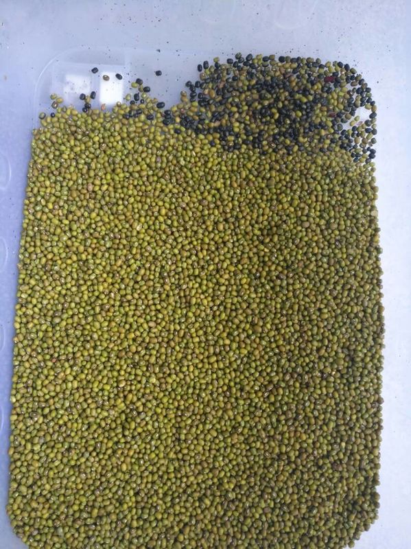 De intelligente Groene Bean Colour Machine Beans Ccd-Machine van de Kleurensorteerder