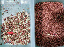 Wenyao Infrarood CCD Camera Graan Color Sorting Machine Optische Peanut Maize Color Sorter