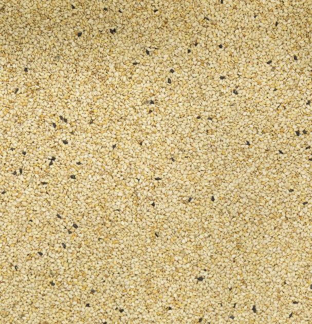 2t/h Wenyao Color Sorter, Hoge Sorterende de Kleurensorteerder van de Nauwkeurigheidssesam