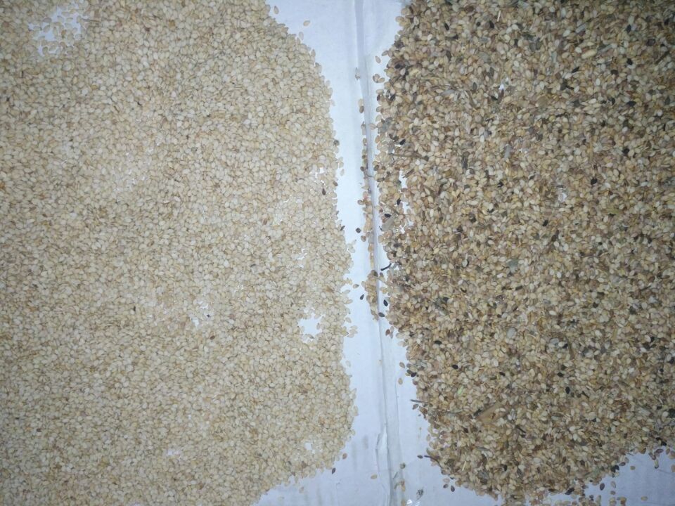 Wenyao High Capacity Sesame Seeds-Sorterende de Separatormachine van de Kleurensorteerder