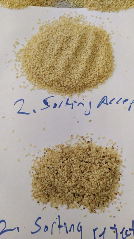 Wenyao High Capacity Sesame Seeds-Sorterende de Separatormachine van de Kleurensorteerder
