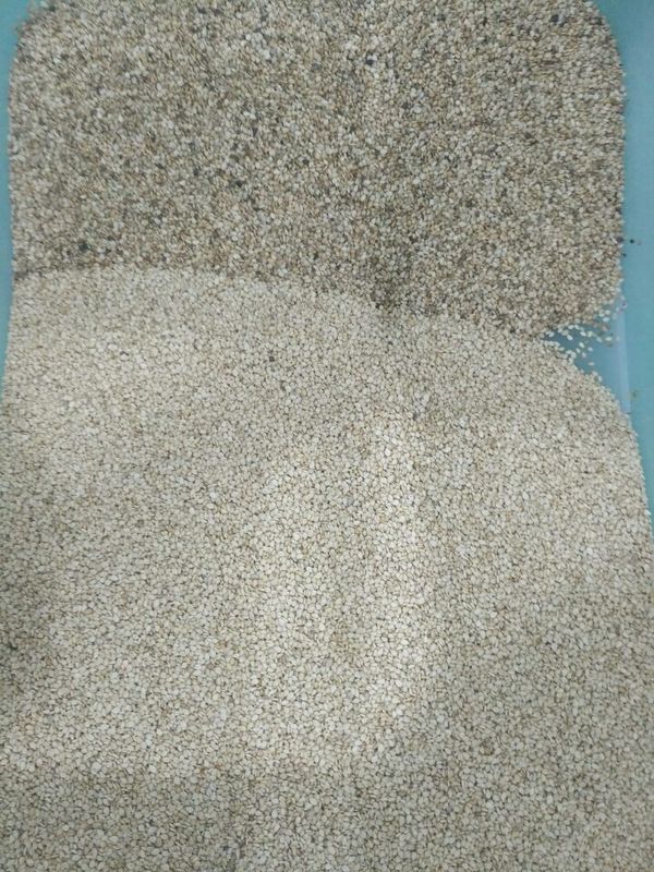 Wenyao High Capacity Sesame Seeds-Sorterende de Separatormachine van de Kleurensorteerder