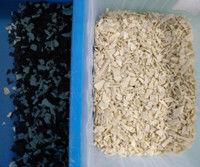 De multifunctionele Plastic ABS pp van het HUISDIERENvlokken van pvc Sorteerder die van de de Korrelskleur Plastic Kleurensorteermachine recycleren