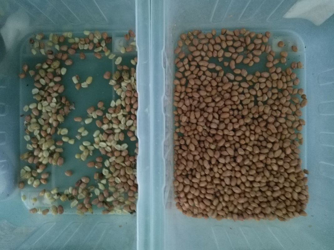 10 hellingen Wenyao Color Sorter, CCD-de Sorteermachine van de Camerapinda