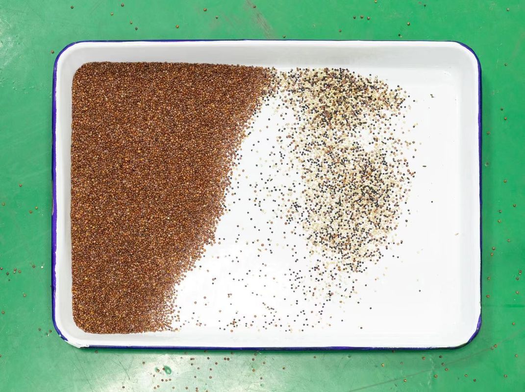 Quinoa de Machines van de Kleurensorteerder 128 Kanalen 2 Jaar Garantie