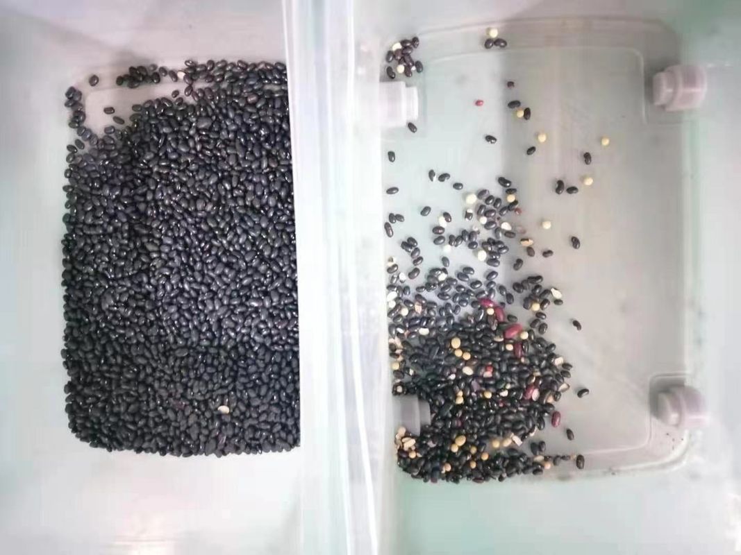 Sorteerder van de 128 Kanalen de Multifunctionele Kleur voor Pea Wheat Grain Nut Seed-Boon